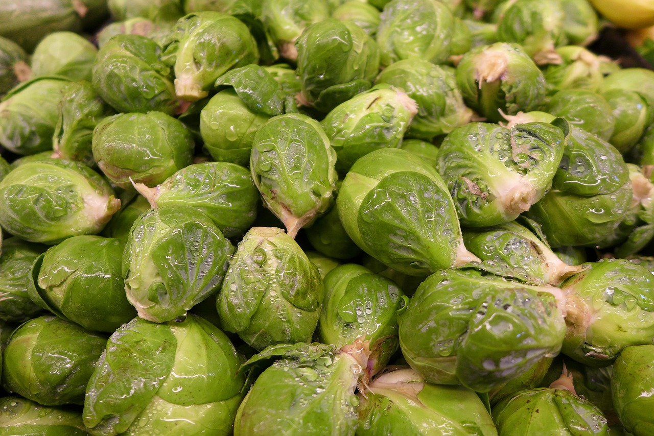 brussel sprouts, vegetable, green, nature, garden, ingredients, brussels sprouts